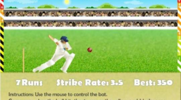 Cricket Defend The Wicket