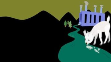 Developer Spotlight: fluffy