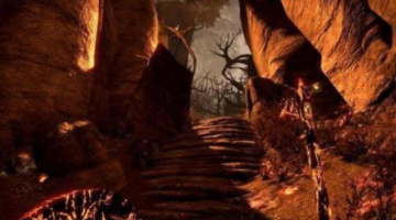 What Video Games Teach you About Success
