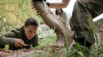 Common Sense | ‘Annihilation’ Review