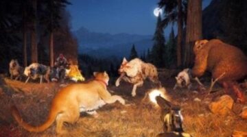 Here’s how engine changes make Far Cry 5 feel real and grounded | finder