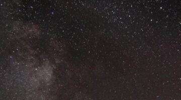 Leaving CDProjekt RED, a first step in the dark