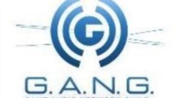 Call of Duty: WWII sweeps 16th annual G.A.N.G. Awards + full winners list