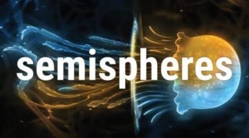Semispheres Switch Review | Culture Jam