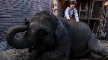 THR | ‘Zoo’ Review