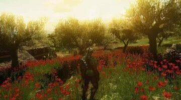Video games and the life of summer