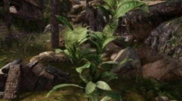 Skyrim 3D Landscapes mod features more than 90 high quality 3D models for trees, flowers and plants