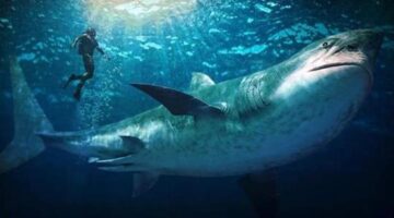 ‘The Meg’ is Harmless Summer Fun