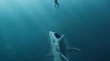 The Daily Rotation – The Meg Review