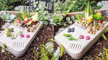 Artist Turns Game Boys Into Mini Flowerpots And They Are The Cutest Things You’ll See Today