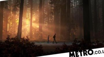 Game review: Life Is Strange 2 – Episode 1 is strangely compelling | Metro