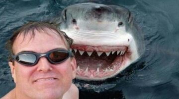 Researchers are trying to prevent “selfie-related fatalities” at tourist spots
