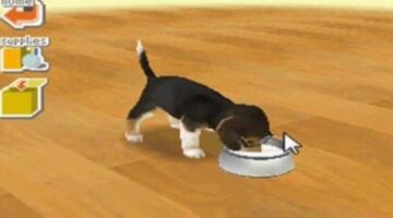 Remembering Nintendogs: The game that taught me about responsibility and commitment