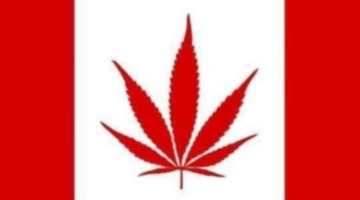 Marijuana Is Legal; Here Are Some Inexpensive Games To Enjoy With Your “Buds”