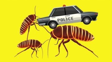 Giant Cockroach vs Police car , colors for children and cars
