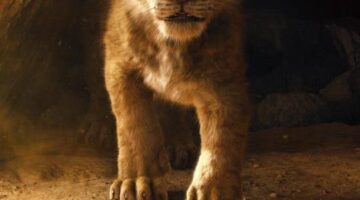 Hollywood-Matrimony | Disney Debuts Teaser Trailer For The Lion King