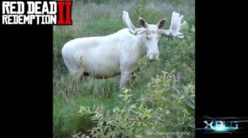 Epic real life Legendary Moose found! #RDR2 #RedDeadRedemption2