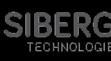 ERP Services | Sibergen