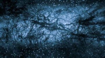 Dark Energy Is Getting Stronger By The Day