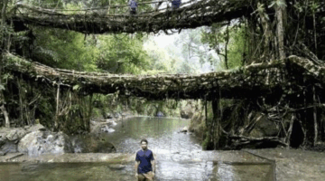 3 Memorable Things on My Trekking to Double Decker Living Root Bridge