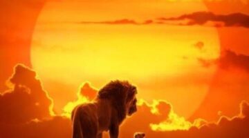Hollywood Matrimony: The Lion King Review