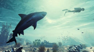 Maneater Is a Deranged, Open World Shark-PG – E3 2019 | IGN