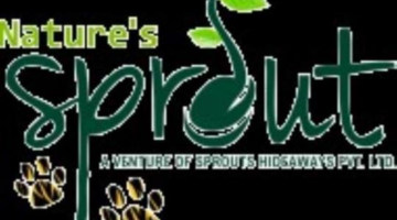 Full Day Safari Booking in Bandhavgarh National Park@7719806444