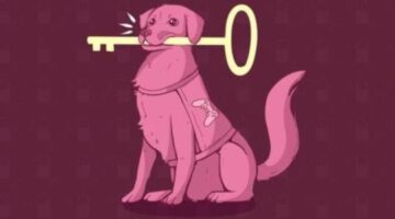 ‘Accessibility Unlocked’ Is A New Initiative To Promote Accessibility To Aussie and Kiwi Developers