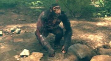 Ancestors: The Humankind Odyssey Stop Bleeding | How blood loss works and how to prevent it