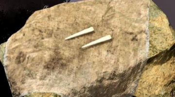 Green Hell Bone Needle – How to craft and remove a worm parasite