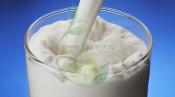 Viêm đại tràng có uống sữa được không | Đại Tràng Trần Quý