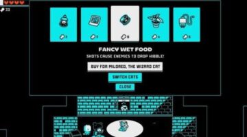 Cat-Based Roguelite Cat Lady Release Date Announced