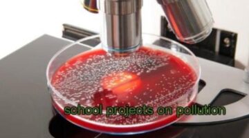 Creative School Projects Idea On Pollution
