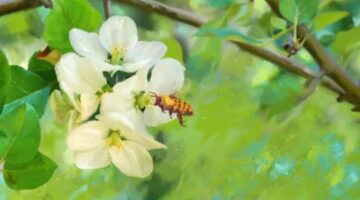Review – Bee Simulator (PS4) | WayTooManyGames