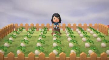 How to play the Stalk Market in Animal Crossing