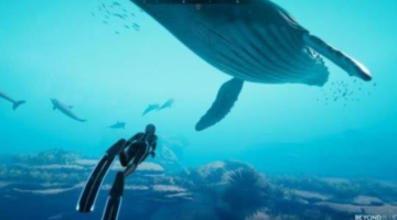 Beyond Blue Full Release Date Surfaces Alongside New Trailer