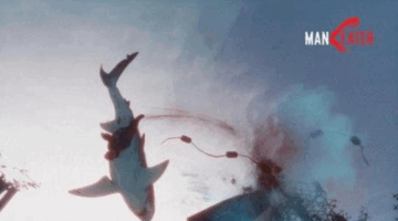 Maneater Review – Become What You Fear Most | PSLS