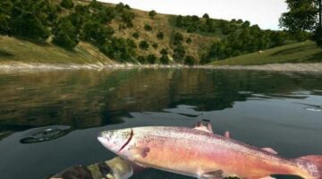 Ultimate Fishing Simulator casts out to Xbox One