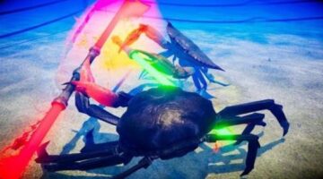 Fight Crab is getting a physical release on Nintendo Switch