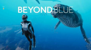Beyond Blue – Review | Beauty Flows, Gameplay Flounders | NookGaming