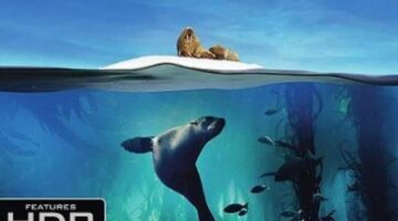 Amazon Slashes 67% Off On Planet Earth II & Blue Planet II 4K Ultra HD Sets