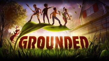Grounded – Commonly Asked Questions Answered