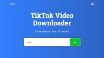 TikTok Downloader No Watermark For Free Online – Snip Tik