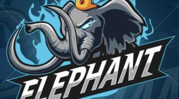 Stunning Triumph for Elephant at OGA Dota PIT Season 4: China