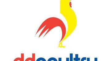 Chicken Wholesalers | Meat Wholesalers | D & D Poultry