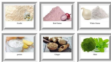 Top Manufacturer of Dehydrated Vegetable Powder | Garon Dehydrates Pvt. Ltd