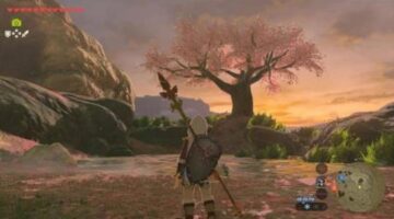 Best Cherry Blossom Views in Video Games