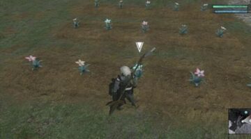 NieR Replicant: How to Get Pink Moonflower Seeds