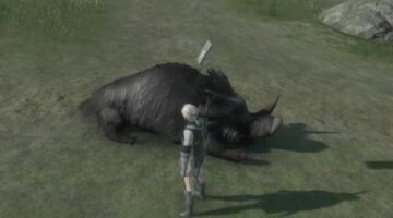 Nier Replicant guide: Boar Hunt! quest and fast travel walkthrough