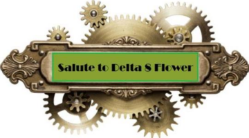 The Best of CBD Hemp Products for 2021 – CBD Hemp Delta 8 Flower – Hemp Flower | CBD Flower